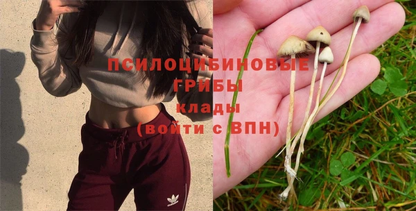 mix Алексеевка