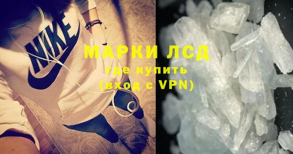 стаф Алексин