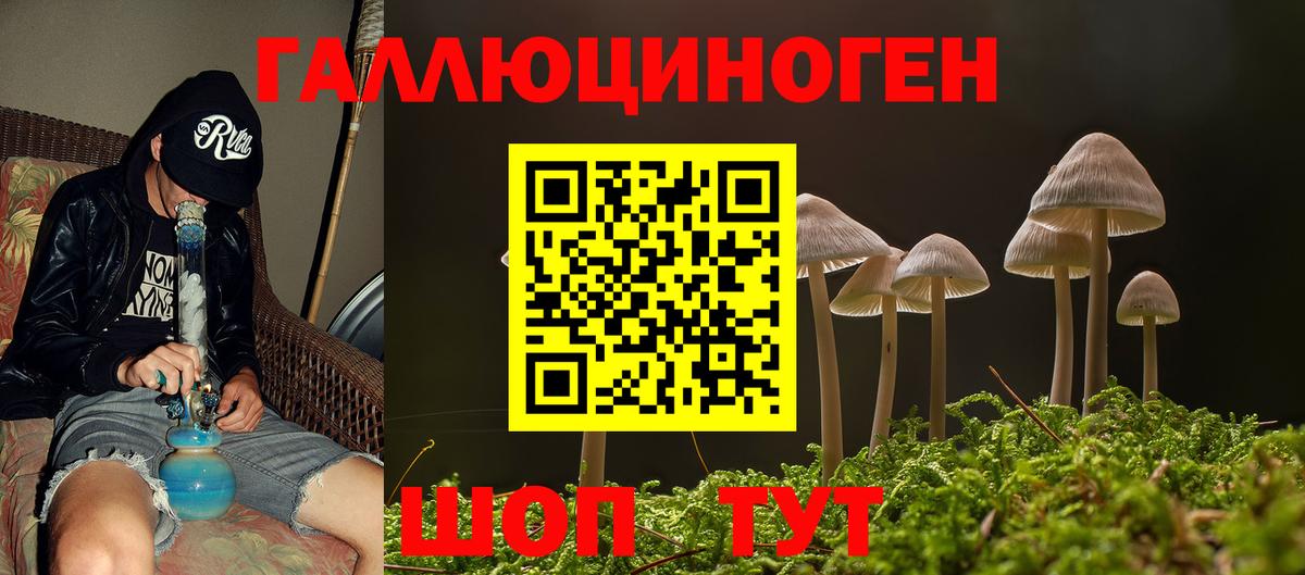 Галлюциногенные грибы мухоморы  Ливны  Псилоцибиновые грибы Psilocybe 