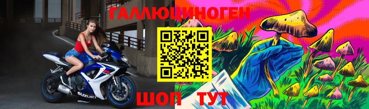 Галлюциногенные грибы Psilocybe Ливны